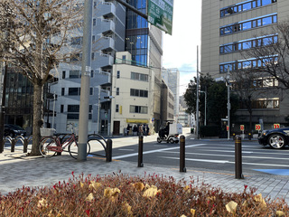 20230112΂̃XGqxXx Ώ230W{Q\270 (1).JPG