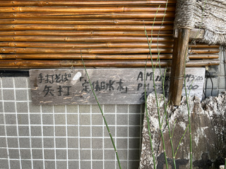 ŁV](s]ː) 肻1000ŊCV̓VՂZ650ACXR[q[250 (5).JPG